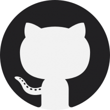 Github program